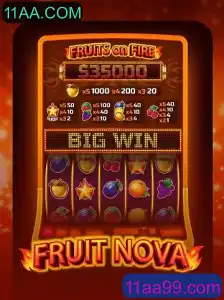 Descubra o Envolvente Mundo de FruitNova: Um Guia Completo